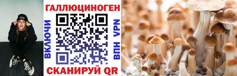 Псилоцибиновые грибы мухоморы  Артём 